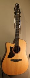 Ibanez AAD170LCE-LGS Grand Dreadnought
