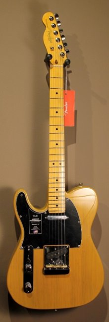 Fender Am Pro II Tele BTB.JPG